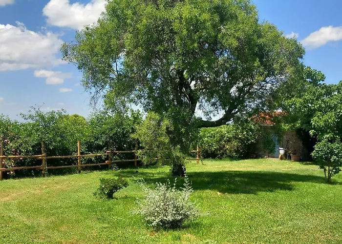 Casolare Di Campagna