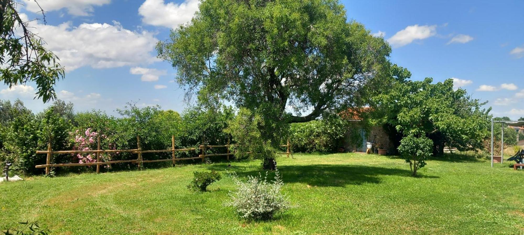 Casolare Di Campagna Holiday home Viterbo