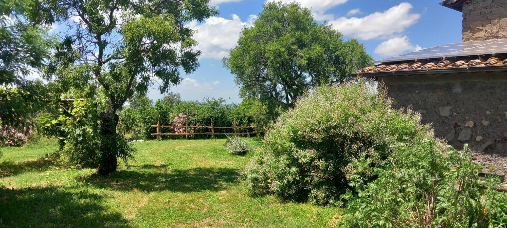 Casolare Di Campagna Viterbo